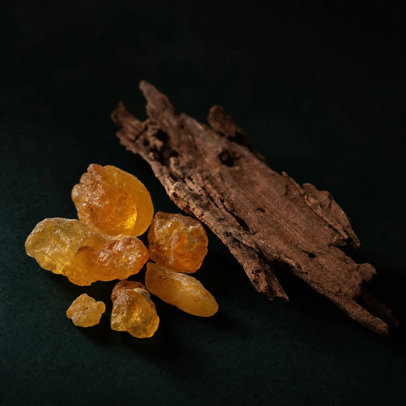 Résine d'encens Boswellia et écorce de cèdre Cedrus, élixir Adepsia Matière IV
